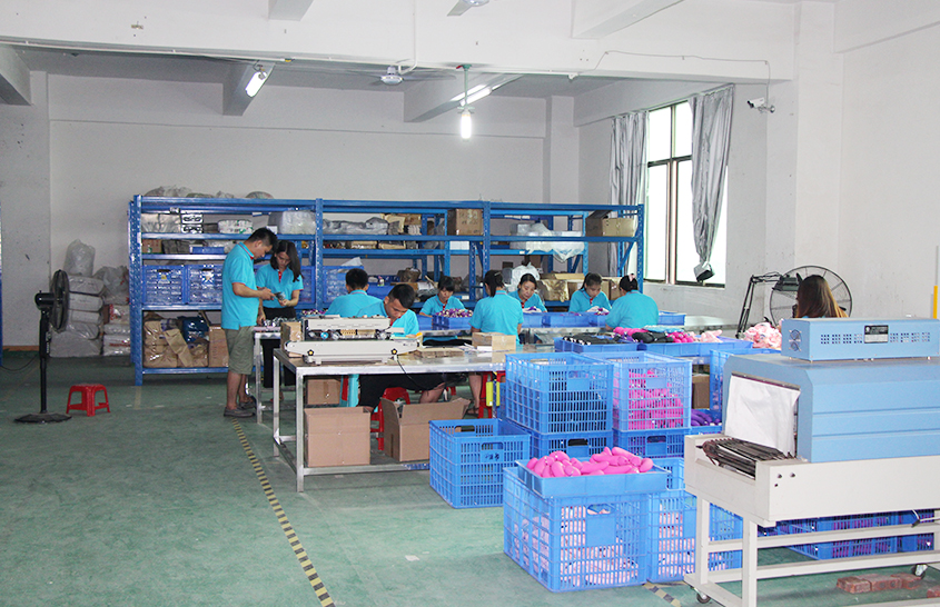 Saidesi Technology Co., Ltd.