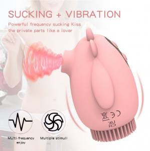 2 in 1 Sucking & Vibrating