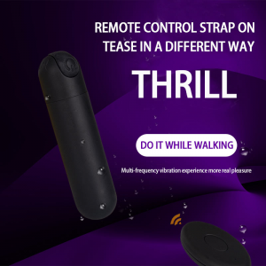 Wearable Vibrator Egg Sex Toys