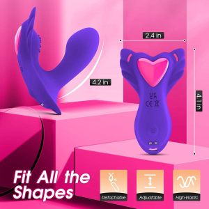 Remote Control Clitoral Stimulator Panty Vibrator