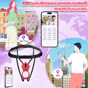 Panty Vibrators Wholesale APP Control Vibrating