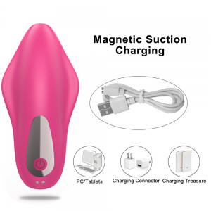 Wireless Remote Control Heating Modes Panty Vibrator Clitoral Sucker