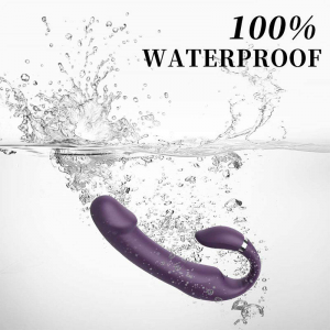 Dual Motors G Spot and Clit Stimulation Double Ended Head Dildo