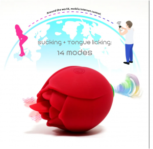 rose Vibrator Sex Toys