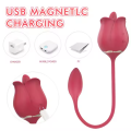 Shoppe online licking multicolor sex toys catalogue