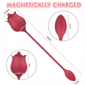 Shoppe online licking multicolor sex toys catalogue