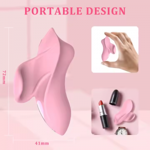 Panty Vibrator