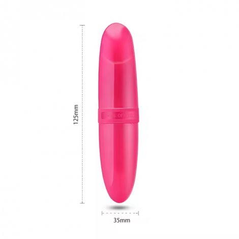 Bullet Vibrator Sex Toy