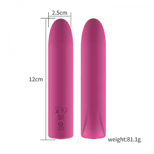 Bullet Vibrator Sex Toys for Women