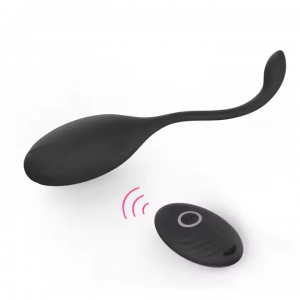 Love Egg Vibrator with Remote Control