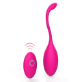 Love Egg Vibrator with Remote Control