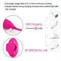 Love Egg Vibrator with Remote Control