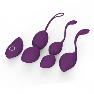 Vibrating Egg Set