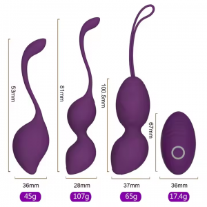 Vibrating Egg Set