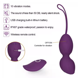 Vibrating Egg Set