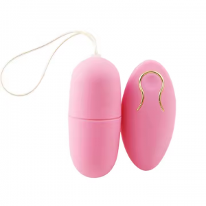 Vibrating Egg Sex Toy for Couple Women