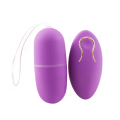Vibrating Egg Sex Toy for Couple Women