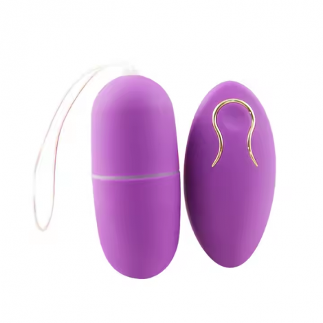 Vibrating Egg Sex Toy for Couple Women