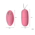 Vibrating Egg Sex Toy for Couple Women