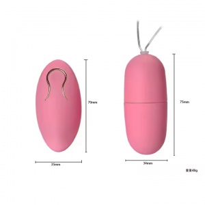 Vibrating Egg Sex Toy for Couple Women