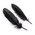 Black Feather Erotic Eye Mask with Fuzzy Handcuffs